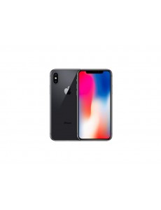 iPhone X, 256GB, Space gray