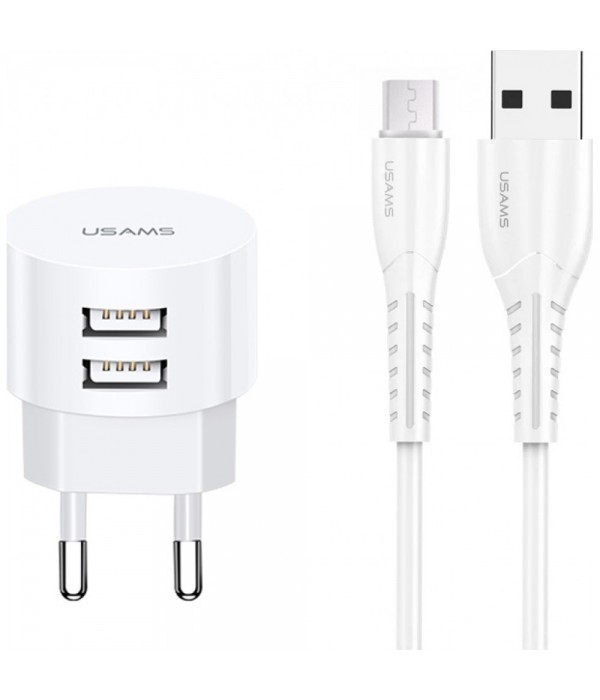 USAMS T20 Dual USB 2.1A Type-C